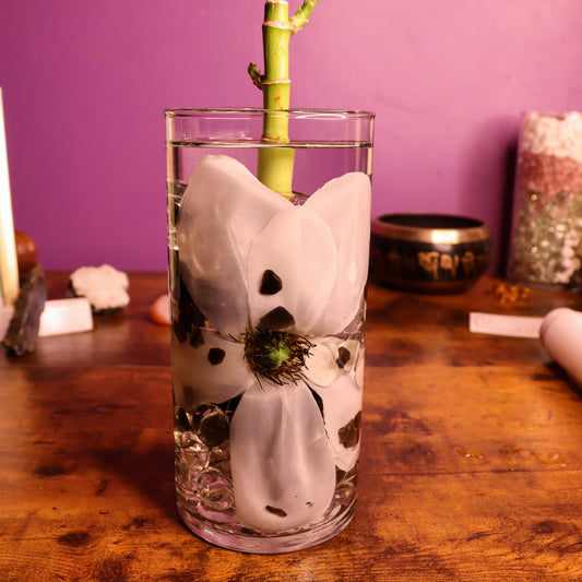 Black Obsidian: White Lilly Aura