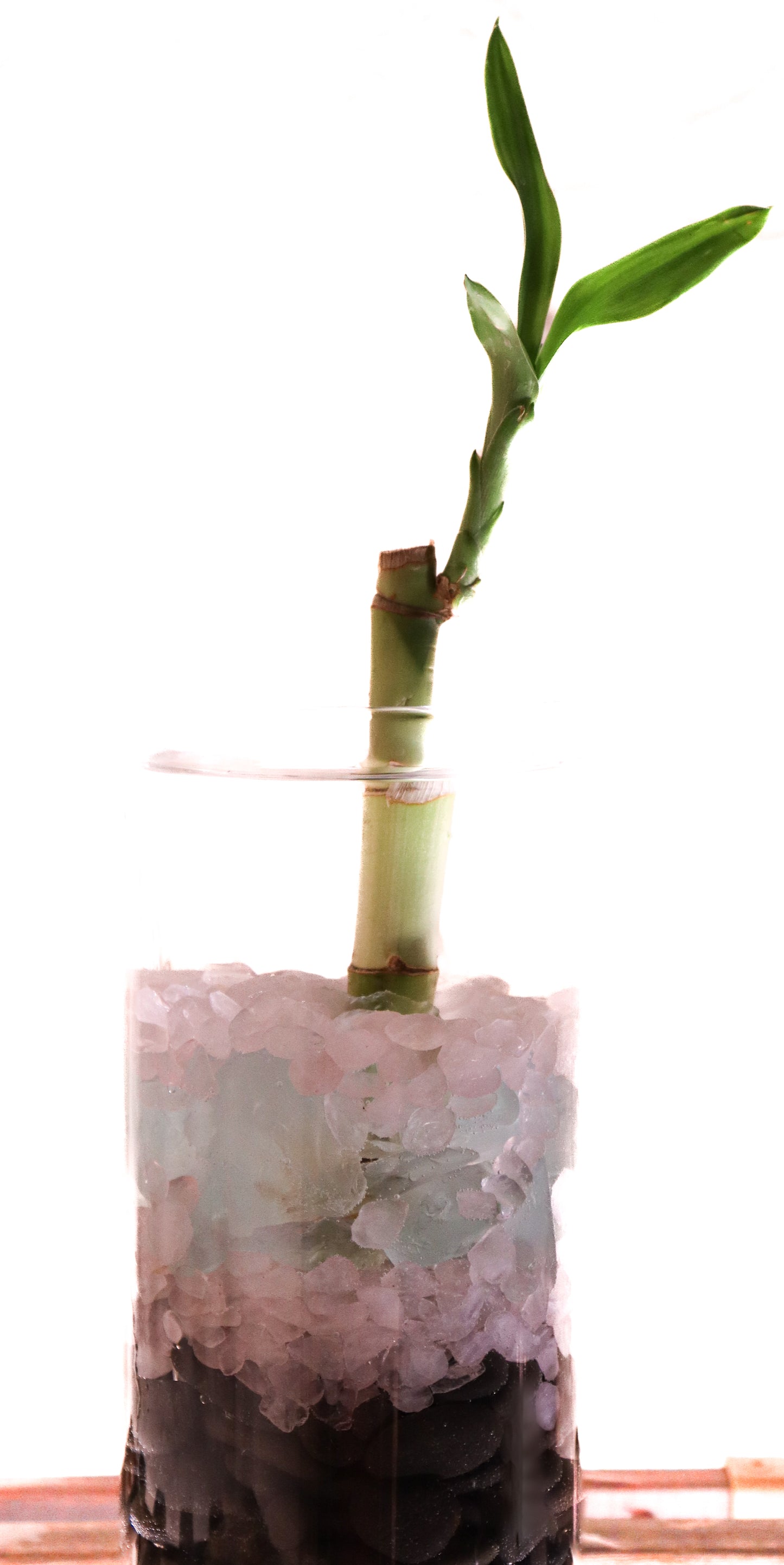 Rose Quartz Aura Healing Vase: the heart stone, unconditional love, tenderness and forgiveness.